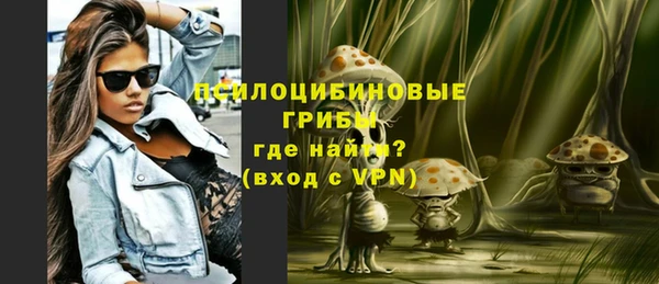 ALPHA PVP Костерёво