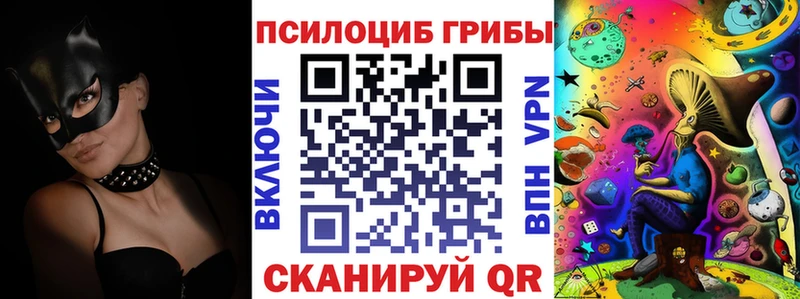 Купить где  Ермолино  Галлюциногенные грибы GOLDEN TEACHER 
